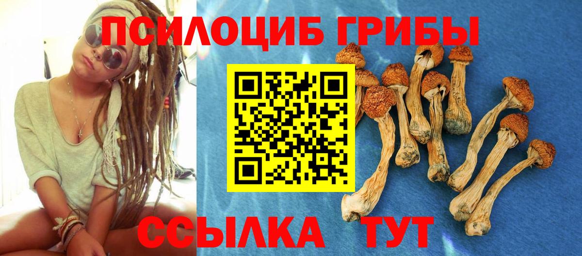 Псилоцибиновые грибы GOLDEN TEACHER  Вход с VPN  Киселёвск 
