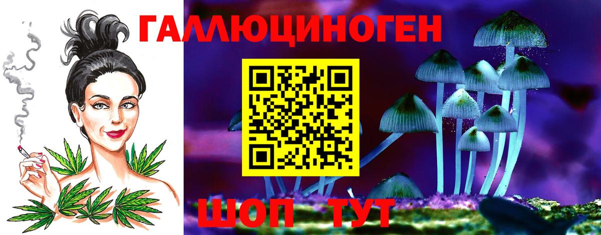 Галлюциногенные грибы GOLDEN TEACHER Киселёвск